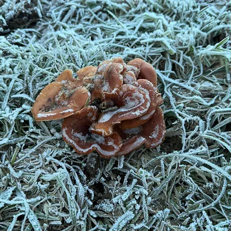 Appartement El Caxigu *