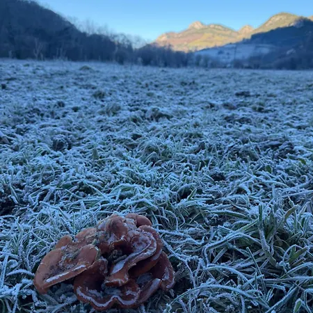 El Caxigu Appartement Arenas De Cabrales