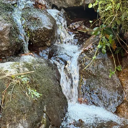 Appartement El Caxigu Arenas De Cabrales