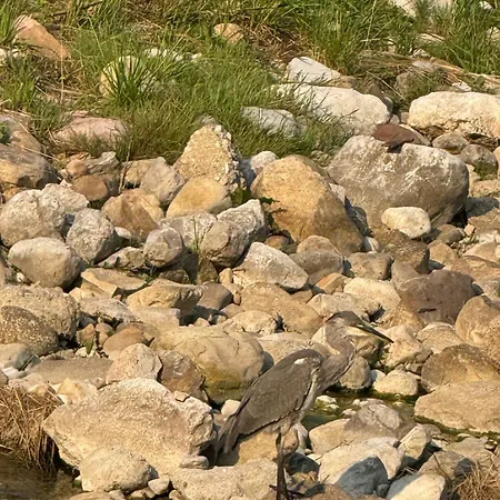 El Caxigu * Arenas De Cabrales