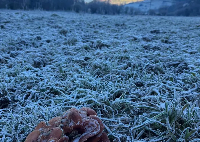 El Caxigu Apartment Las Arenas