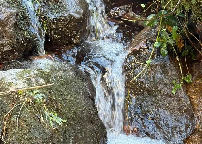 Apartamento El Caxigu Arenas De Cabrales