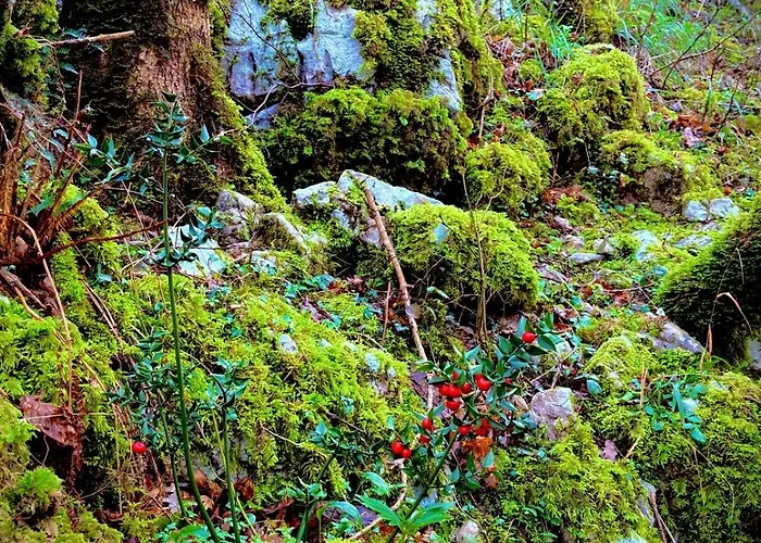 El Caxigu Apartment Las Arenas