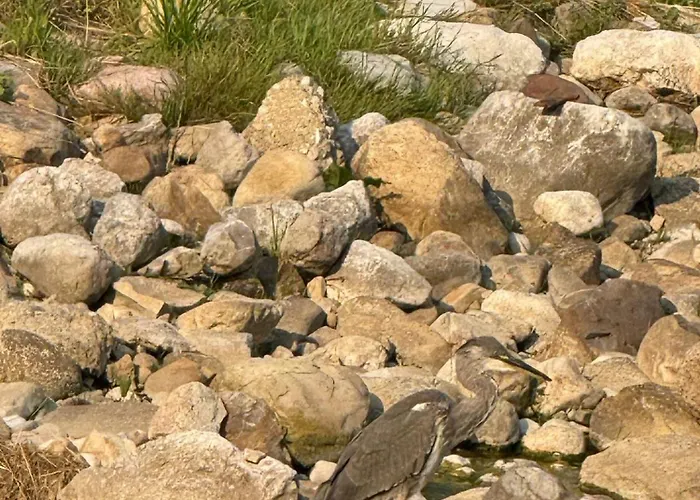 El Caxigu * Las Arenas